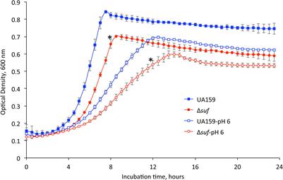 Streptococcus mutans Lacking sufCDSUB Is Viable, but Displays Major Defects in Growth, Stress Tolerance Responses and Biofilm Formation